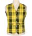 MacLeod of Lewis Tartan Waistcoat – Argyle Vest Made to Order